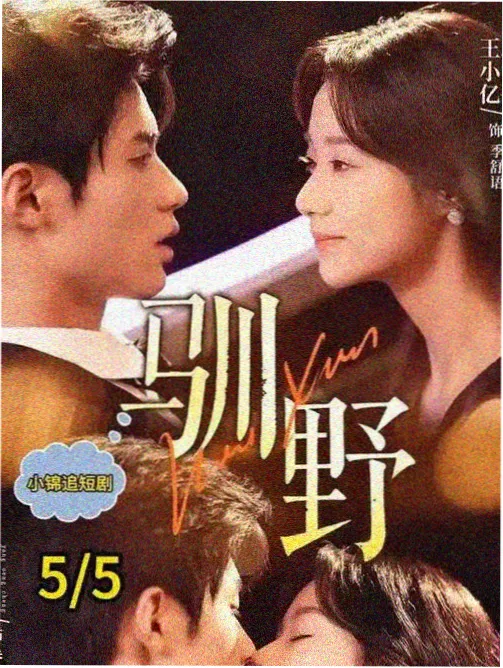 影视大全在线观看电视剧免费观看 - 狂飙
